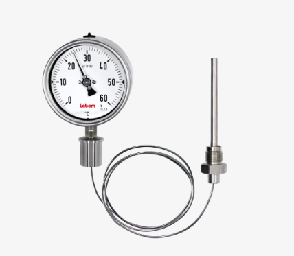 Đồng hồ đo nhiệt độ FN2 dạng kéo dài hãng Labom
