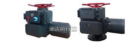 Multi-rotary type electirc actuator