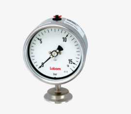 Đồng hồ áp suất BH5100 hãng Labom