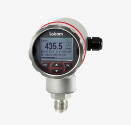 Đồng hồ đo áp suất điện tử CI4100 hãng Labom