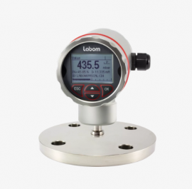 Đồng hồ đo áp suất điện tử CI4120 hãng Labom