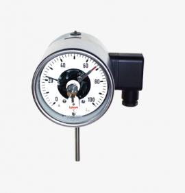 Đồng hồ đo nhiệt độ FU2400 hãng Labom