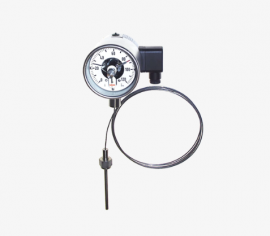 Đồng hồ đo nhiệt độ FU2430 hãng Labom